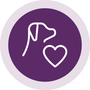 Group 1321317351 Dogs Without Borders Foundation