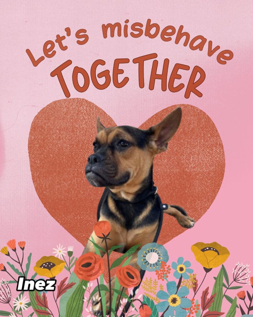 A dog with flowers and a heart on it.
