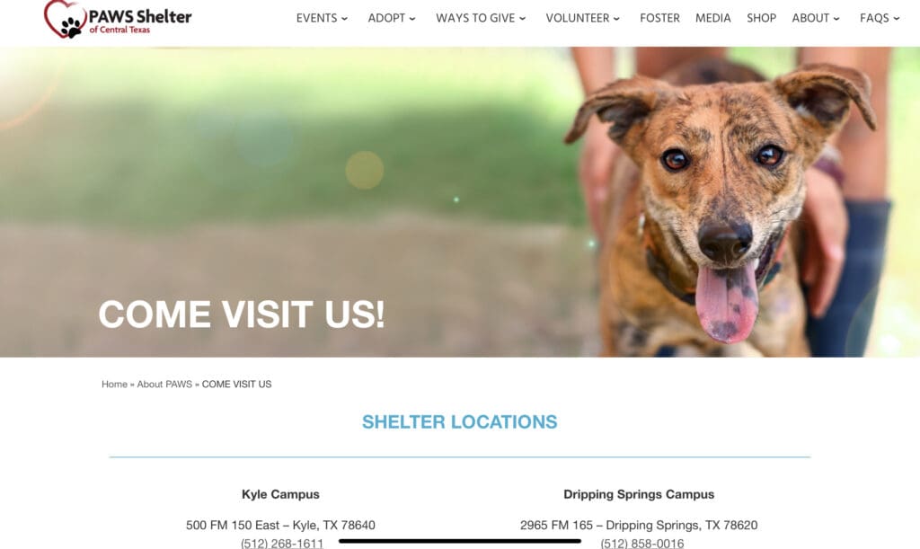 A dog is sitting in front of the shelter 's website.