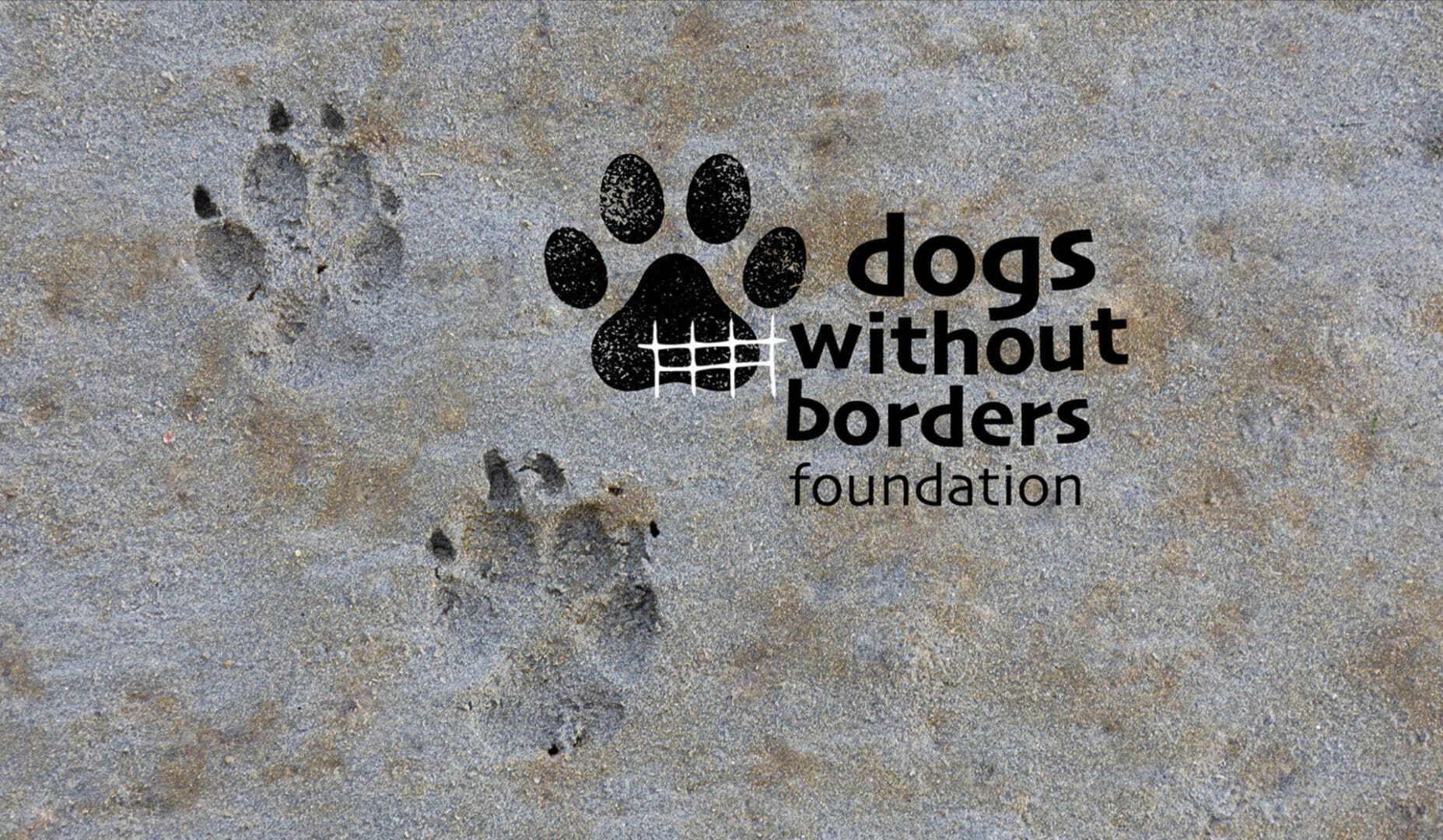 IMG_1133 A close up of the logo for dogs without borders foundation