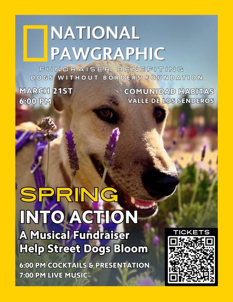 A dog with purple flowers in its mouth.