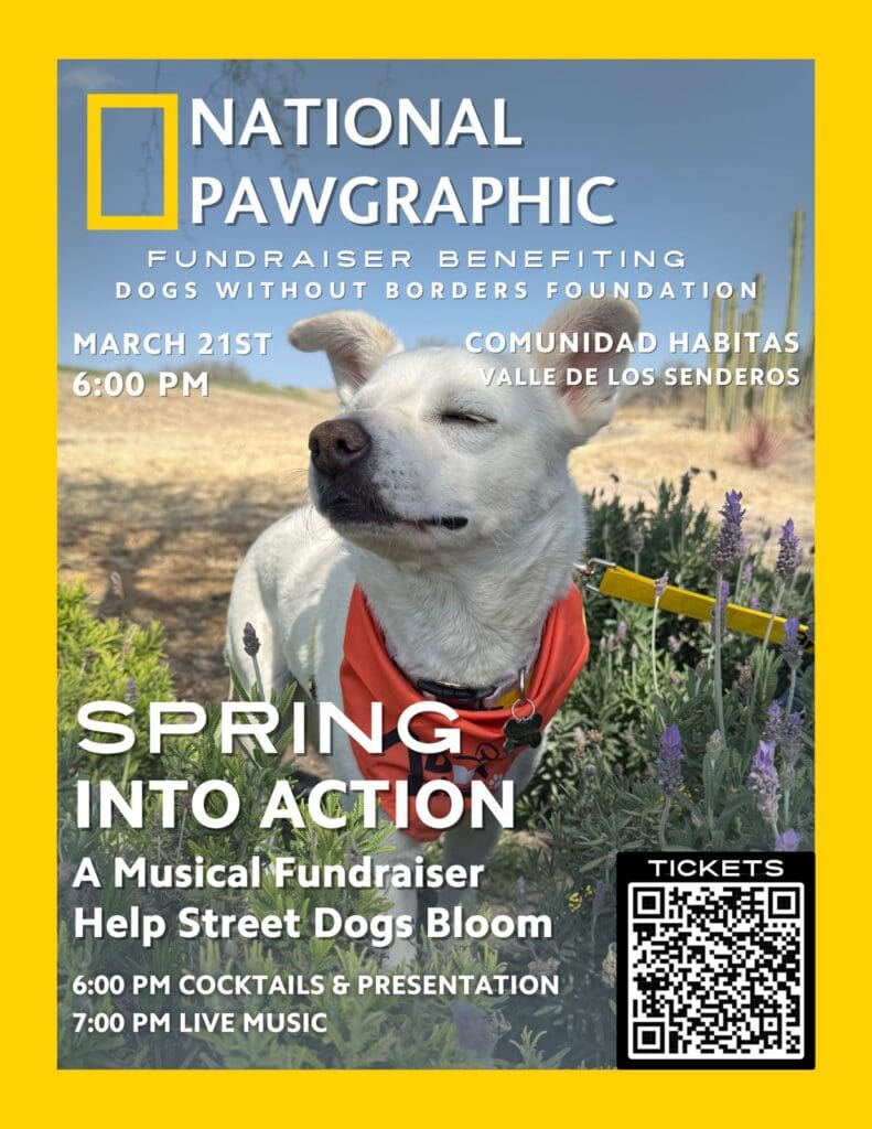 A poster of a dog on the cover of national pawgraphic magazine.