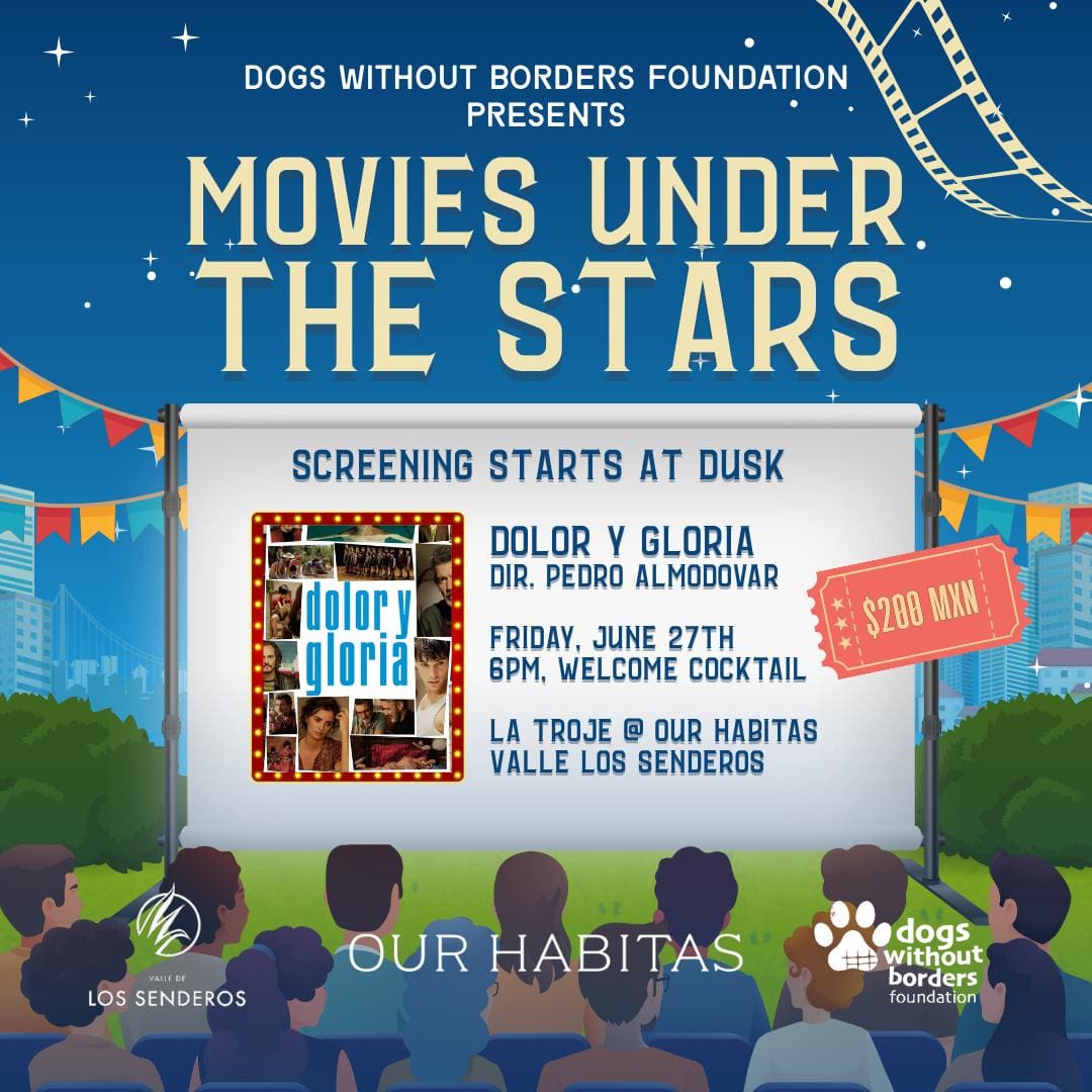 Outdoor movie event poster for "Movies Under the Stars" featuring "The Shape of Water".