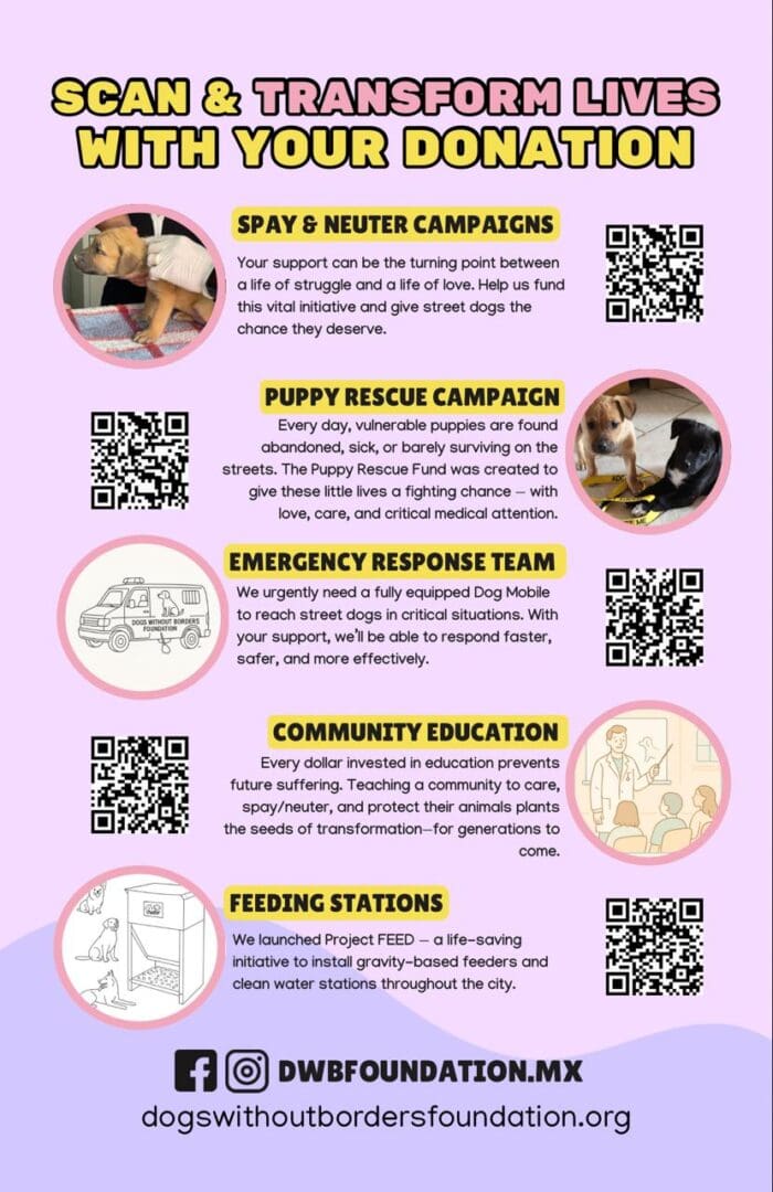 Infographic detailing a community safety campaign with QR codes for more info.