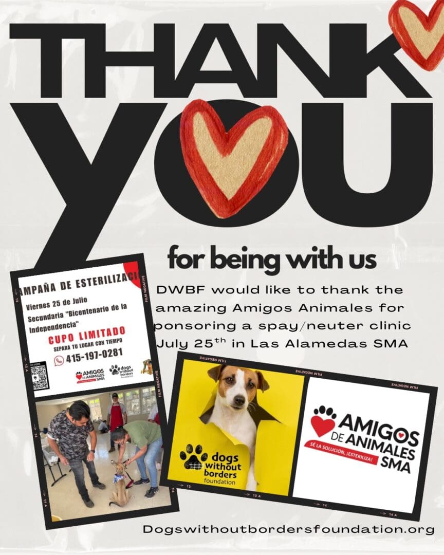 Thank you card with heart and photos appreciating support for Amigos de los Animales.